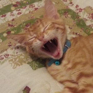 Meet your Posher, Melinda